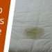 5 Tricks to Get Fungus Out of the Mattress