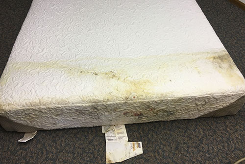 Mattress Mould Removal Costerfield