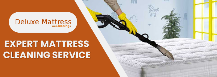 Expert Mattress Cleaning Service