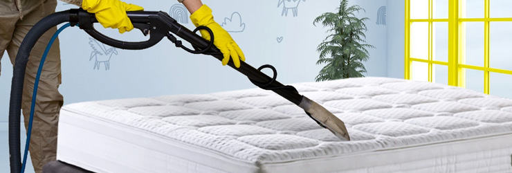 The Mattress Cleaning Service