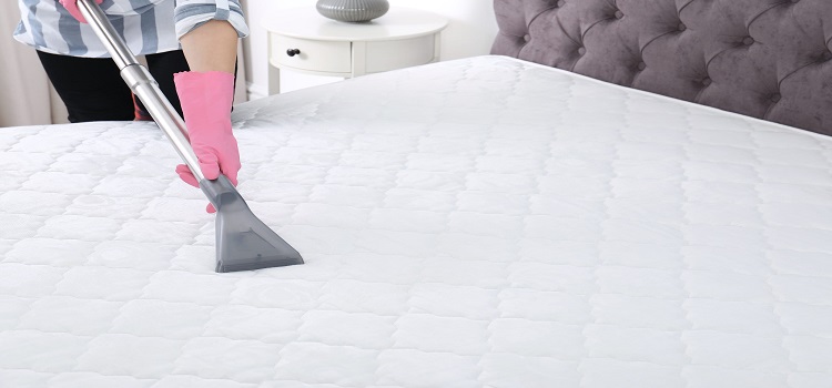 What Happens Throughout the Mattress Steam Cleaning Process