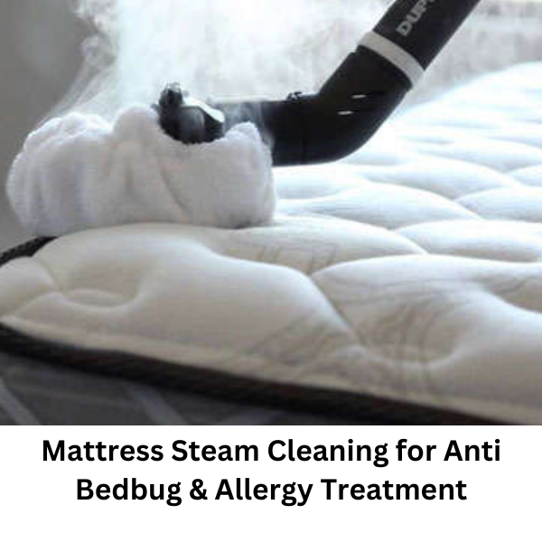 Anti Bedbug Allergy Treatment